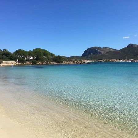 Tramontana Vista Mare 300M Dalla Spiaggia กอลโฟอารันชี ภายนอก รูปภาพ